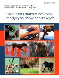 Fizjoterapia małych zwierząt i medycyna psów sportowych Oferta czasowa