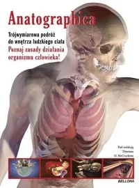 Anatographica Szybka wysyłka
