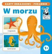 Kapitan Nauka W morzu karty obrazkowe + poradnik. W morzu (karty obrazkowe + poradnik) Szybka dostawa