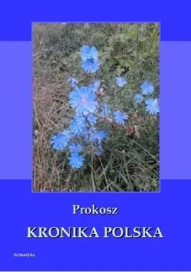 Prokosz Kronika Polska Obniżka ceny