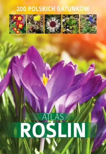 Ostatnia szansa Atlas roślin. 200 polskich gatunków