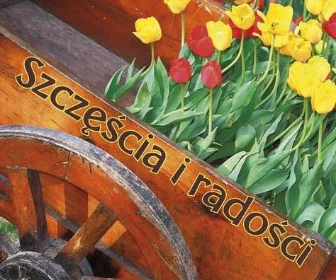 Szczęścia i radości. Perełka Wyjątkowa oferta