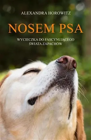 NOSEM PSA. WYCIECZKA DO FASCYNUJĄCEGO ŚWIATA ZAPAC Bezpieczne zakupy