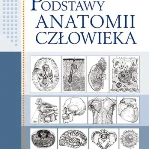 PODSTAWY ANATOMII CZŁOWIEKA Ekspresowa dostawa