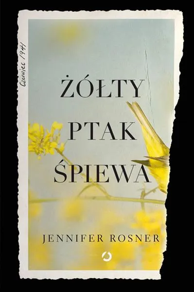 ŻÓŁTY PTAK ŚPIEWA Ostatnie sztuki