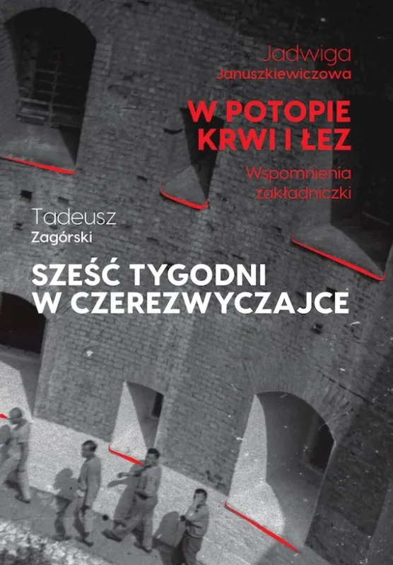 W potopie krwi i łez. Sześć tygodni w czerezwyczajce Ekspresowa dostawa