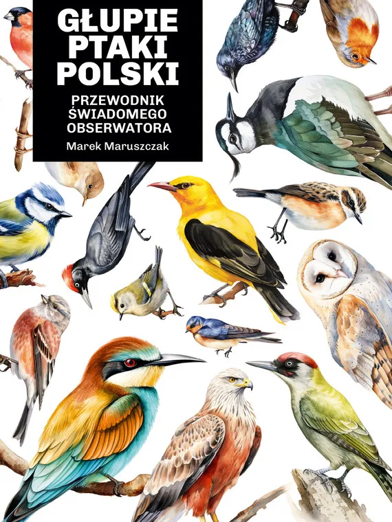 Głupie ptaki Polski. Przewodnik świadomego obserwatora Ostatnie sztuki