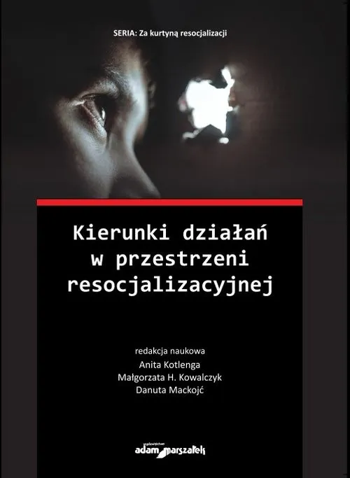 Kierunki działań w przestrzeni resocjalizacyjnej Najlepsza cena