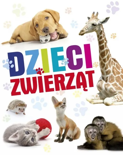 Dzieci zwierząt Wyprzedaż