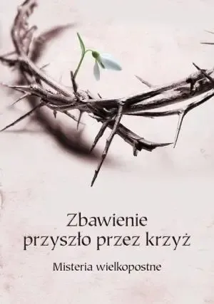 Ostatnia szansa Zbawienie przyszło przez krzyż - praca zbiorowa
